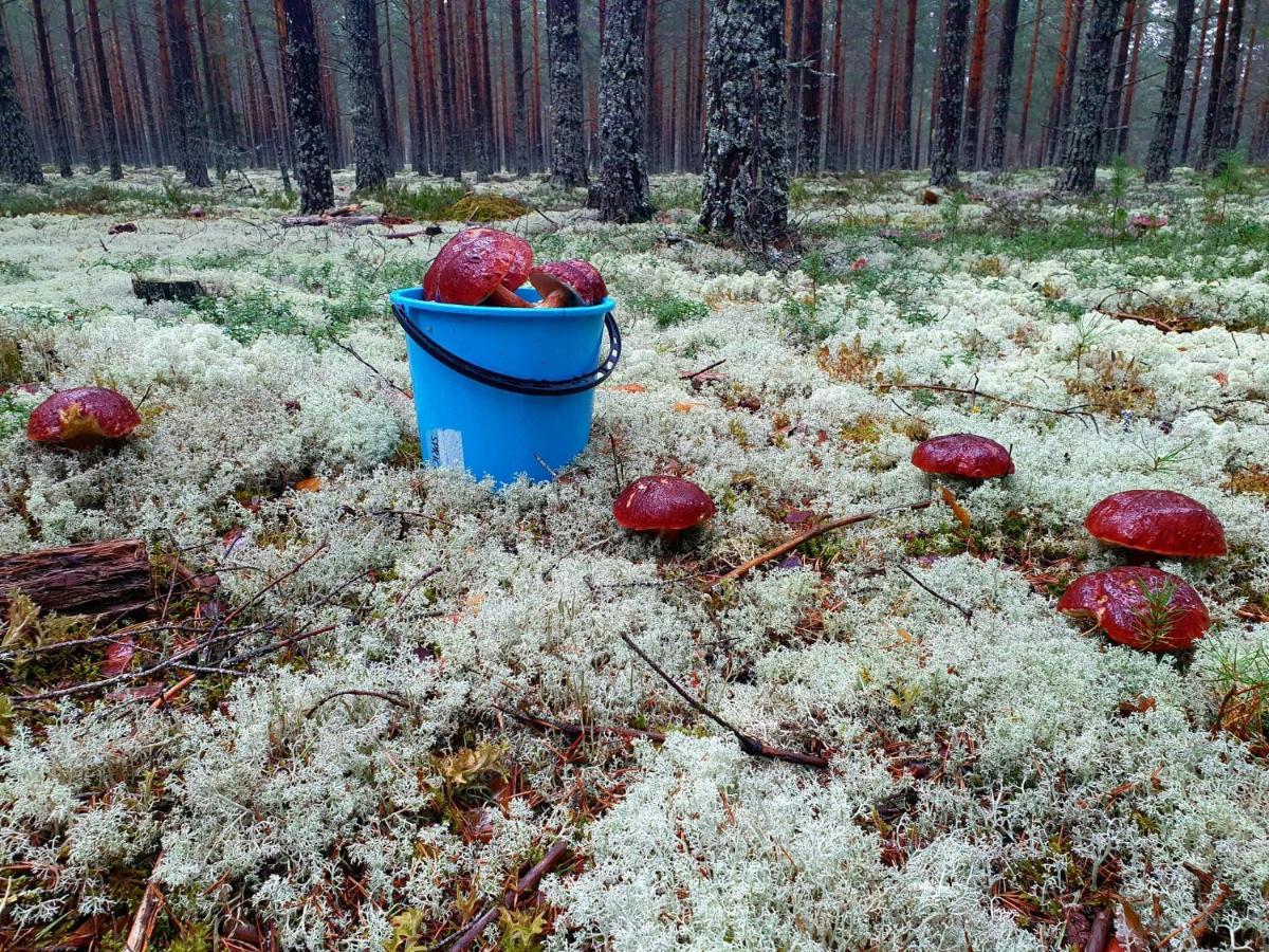 Mysig Timmerstuga Vid Sjoen Bjoerken 34 Roennsudden Грангарде Экстерьер фото